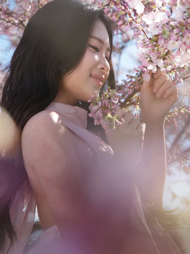 Cherry blossom close portrait — Ninh Studio